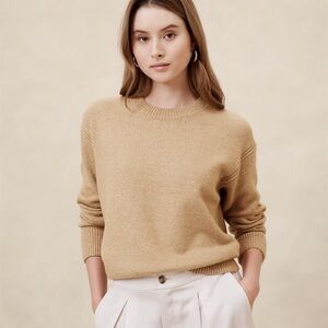 Banana Republic Sparkly Camel Crew Sweater Large NWT